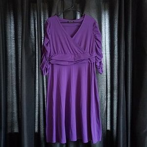 ⭐ Purple Dress with Sleeves